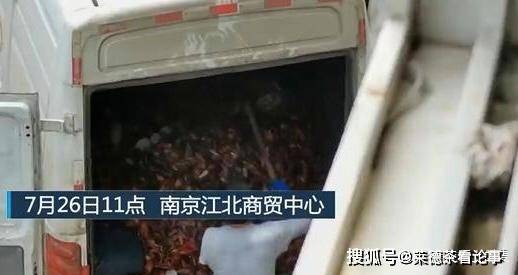 南京通报死龙虾疑做成虾尾出售