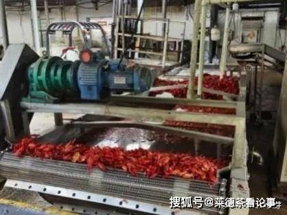 南京通报死龙虾疑做成虾尾出售