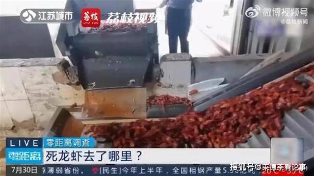 南京通报死龙虾疑做成虾尾出售