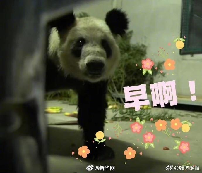 转发这份祝福！丫丫23岁生日快乐