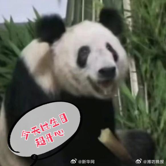 转发这份祝福！丫丫23岁生日快乐