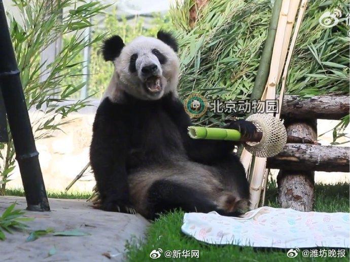 转发这份祝福！丫丫23岁生日快乐