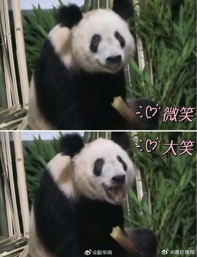 转发这份祝福！丫丫23岁生日快乐