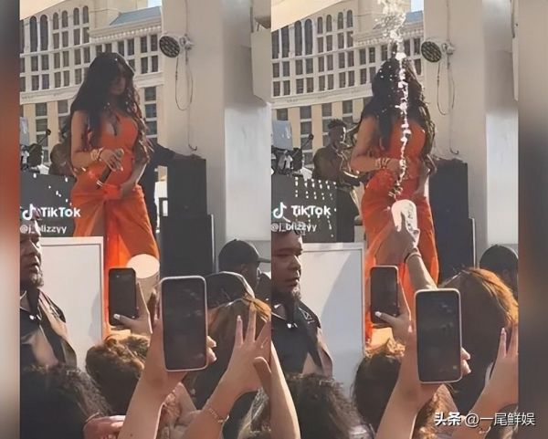 女歌手被数名男观众拽下舞台