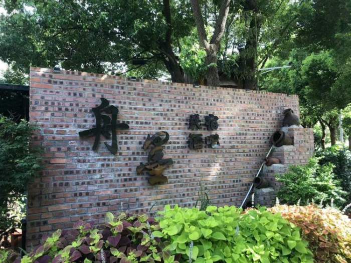 住民宿，逛森林！上海将建成50座开放休闲林地公园，走不进的密林变身可穿行的绿洲