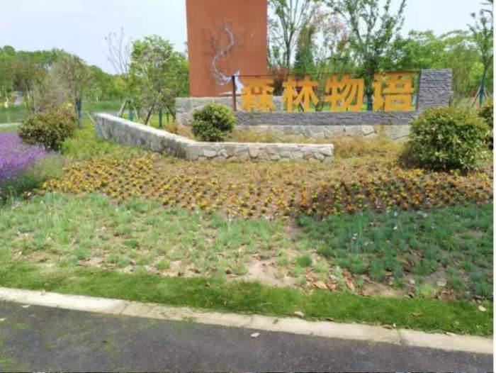 住民宿，逛森林！上海将建成50座开放休闲林地公园，走不进的密林变身可穿行的绿洲