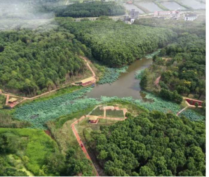 住民宿，逛森林！上海将建成50座开放休闲林地公园，走不进的密林变身可穿行的绿洲