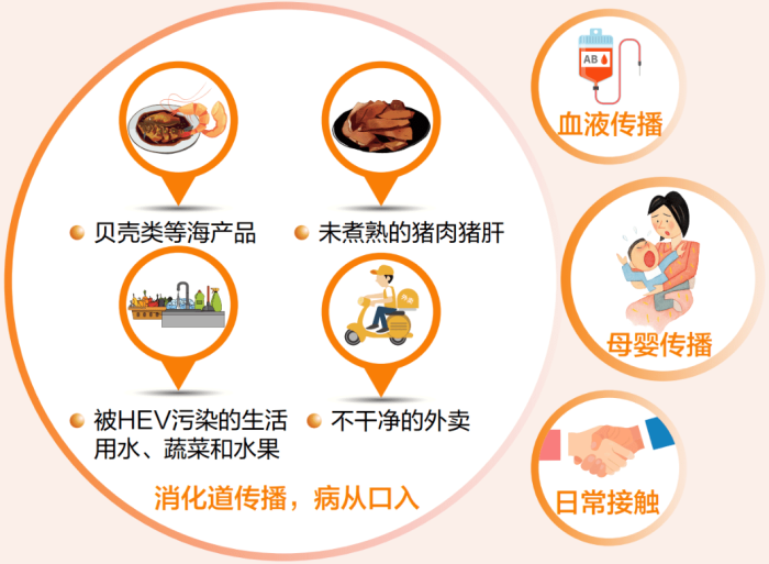 吃了一顿烧烤后，居然被戊肝给“缠”上了？
