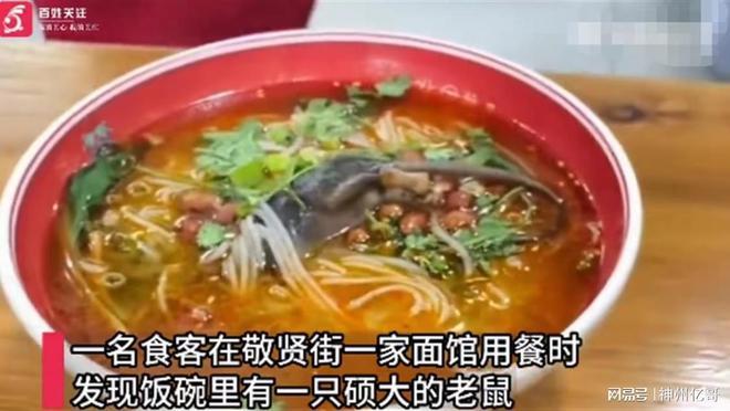 男子吃面时发现碗里有只完整的死老鼠，店家称是从房梁上掉下来的