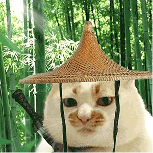 狗头萝莉卖煎饼穿着被质疑，其称只想美丽优雅的活着！