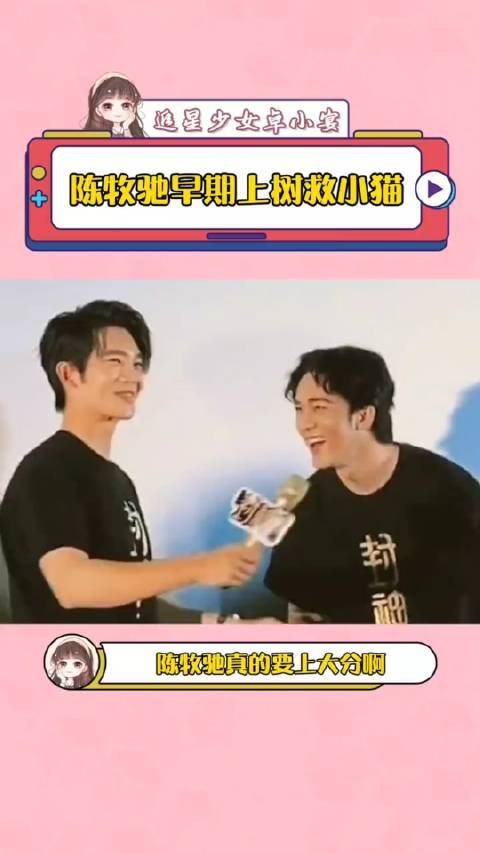 陈牧驰救小猫好温柔一边安慰小猫，一边伸手掰掉旁边的树枝……