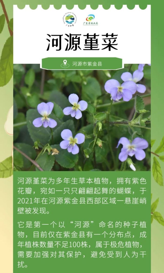 广东发现全新物种