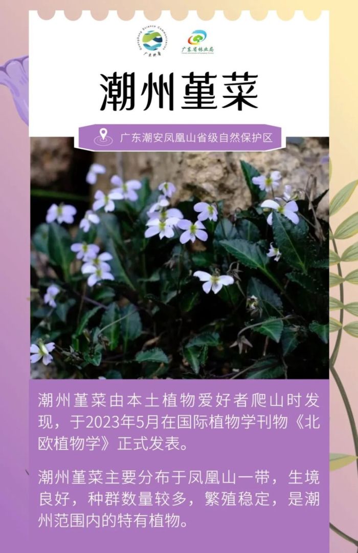广东发现全新物种