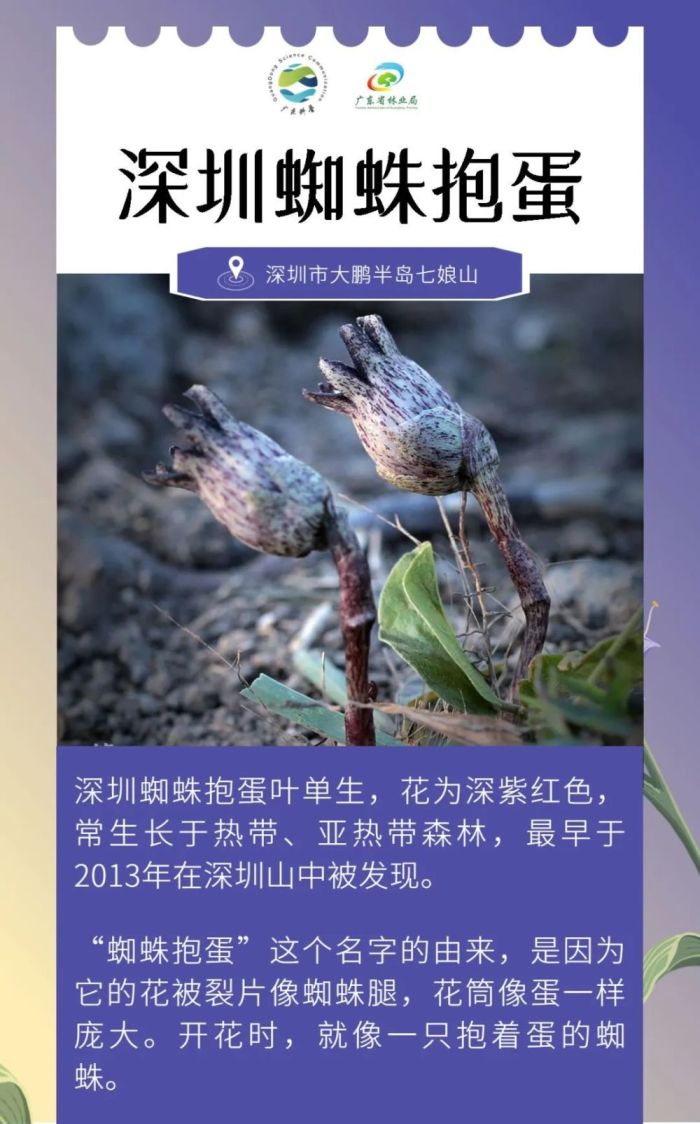 广东发现全新物种