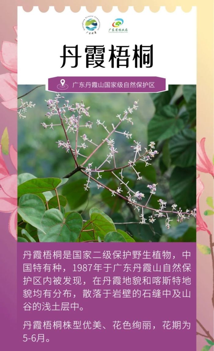 广东发现全新物种