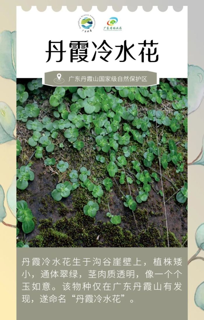 广东发现全新物种