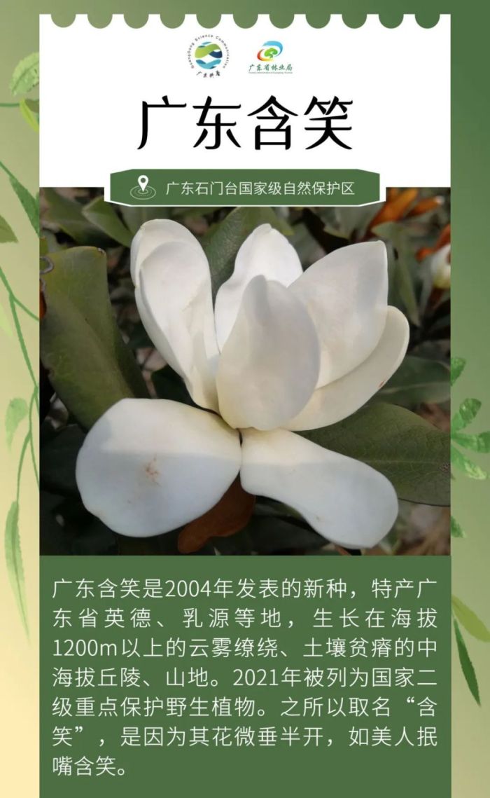 广东发现全新物种