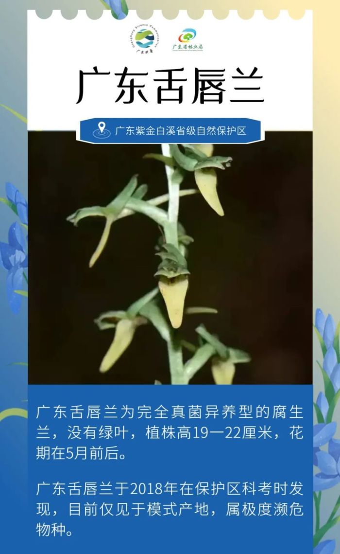 广东发现全新物种