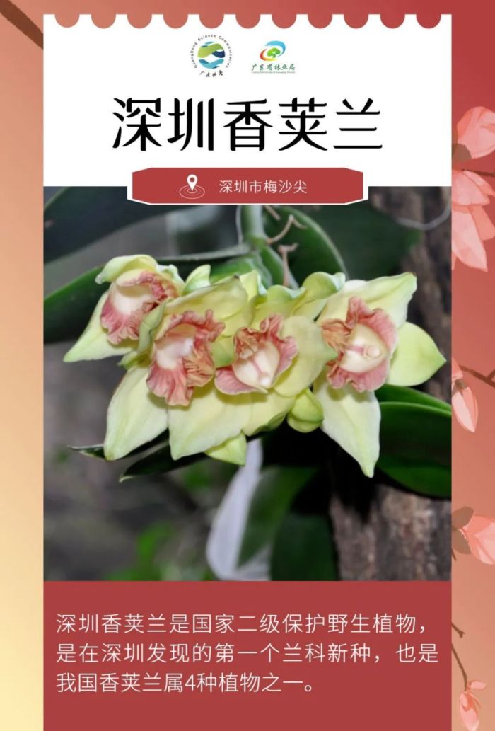 广东发现全新物种