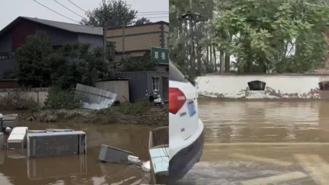 洪水退去涿州街头动物尸体随处可见
