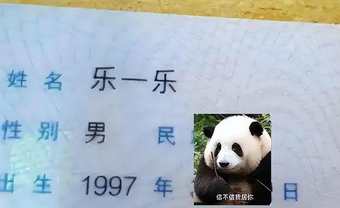 女大学生名字过于“暧昧”，被老师尴尬误会，爸妈：我也很无辜