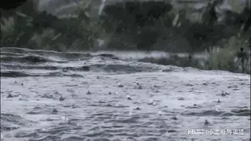 河南：好消息！冷空气提前到来，河南迎来新一轮大雨，太舒服了！