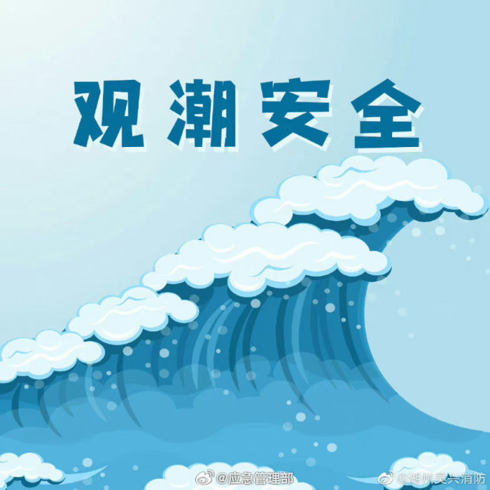 钱塘江观潮被卷入