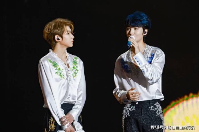 TFBOYS十周年演唱会名场面