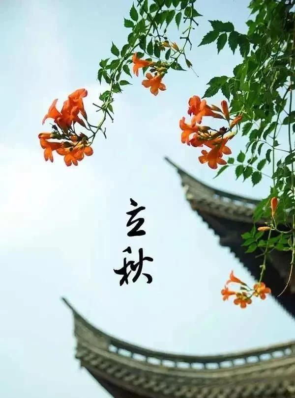 今年8月8日立秋算早还是晚