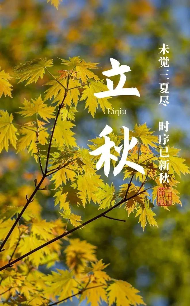 今年8月8日立秋算早还是晚