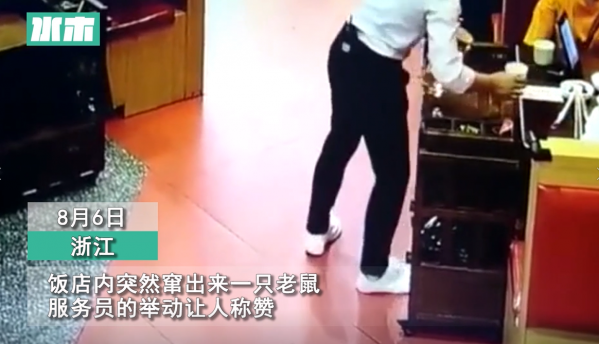 老鼠溜进饭店被服务员丝滑制服