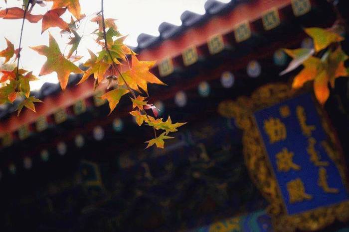 今日立秋：愿你金秋无恙，百病皆休


