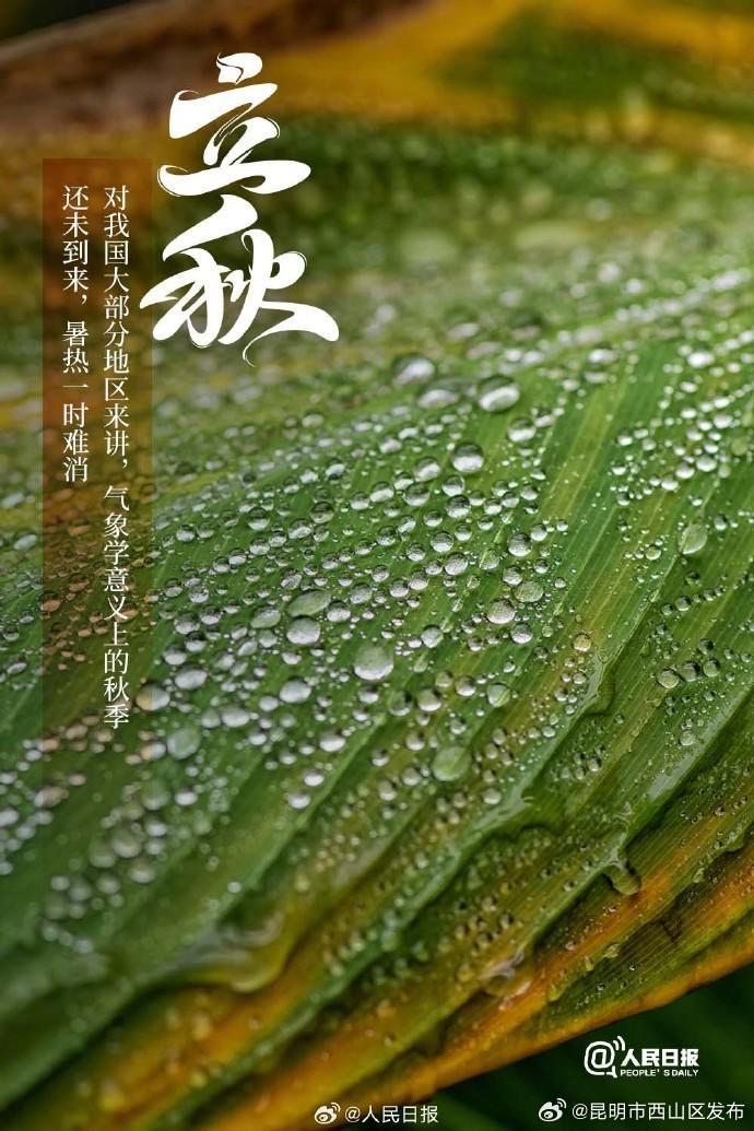 今日，立秋-资讯频道