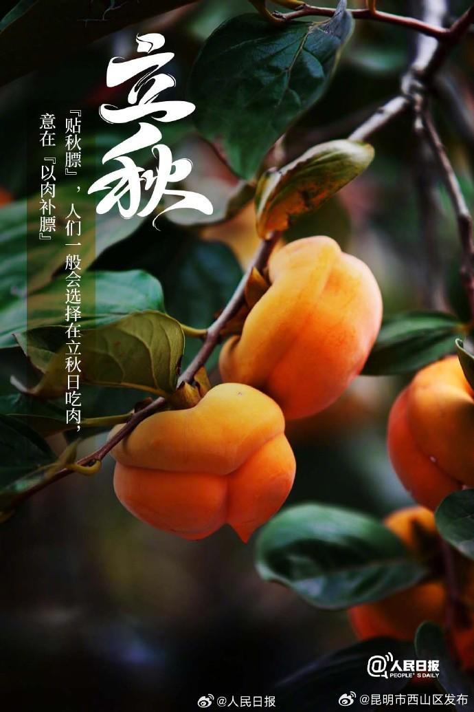 今日，立秋-资讯频道