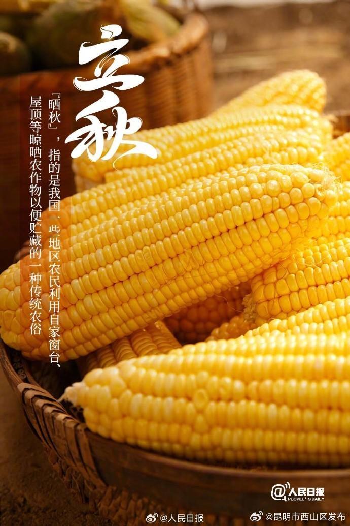 今日，立秋-资讯频道