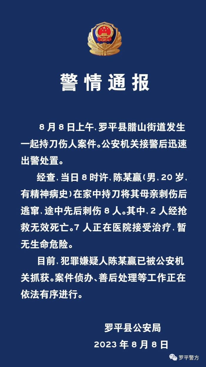 云南罗平发生持刀伤人案，警方通报：2人死亡，嫌疑人有精神病史，已被抓获