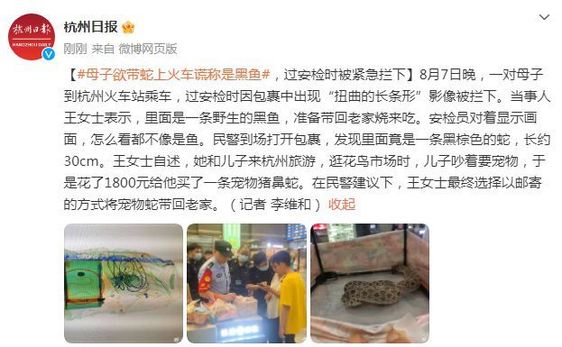 母子将蛇谎称成黑鱼想带上火车
