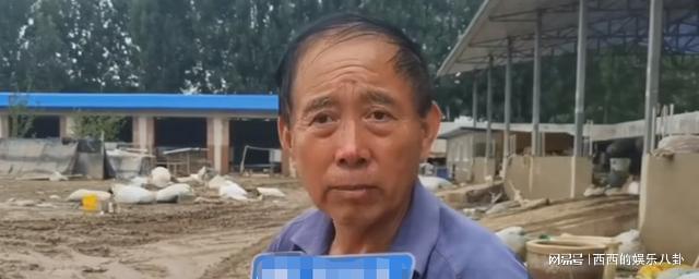 心痛!涿州一羊场上千头羊所剩无几,厂长发声,更多细节令人泪目