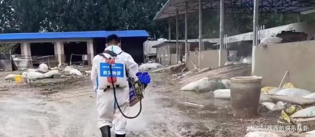 心痛!涿州一羊场上千头羊所剩无几,厂长发声,更多细节令人泪目