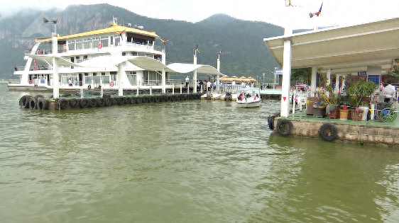 昆明回应滇池鱼群死亡抢水致缺氧