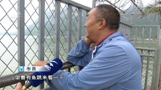 昆明回应滇池鱼群死亡抢水致缺氧
