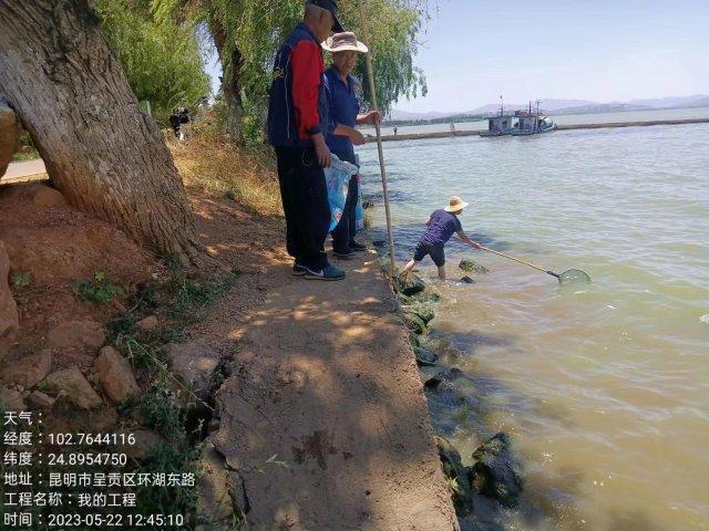 昆明斗南湿地公园一河段漂浮大量死鱼，官方回应……