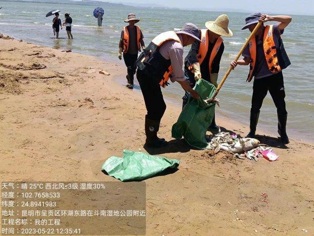 昆明斗南湿地公园一河段漂浮大量死鱼，官方回应……
