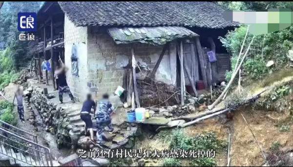 湖南一地多人进村持棍扑杀散养狗