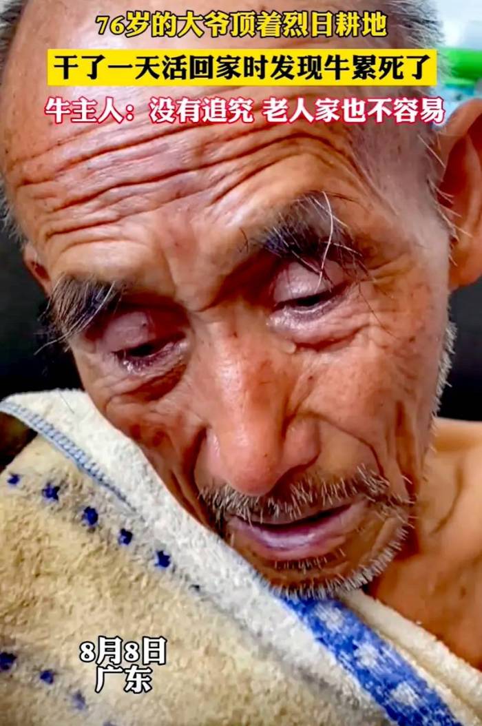 老大爷借牛耕地把牛累死了