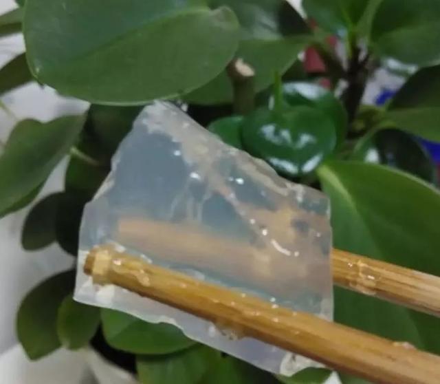 用美食打开山东的夏天