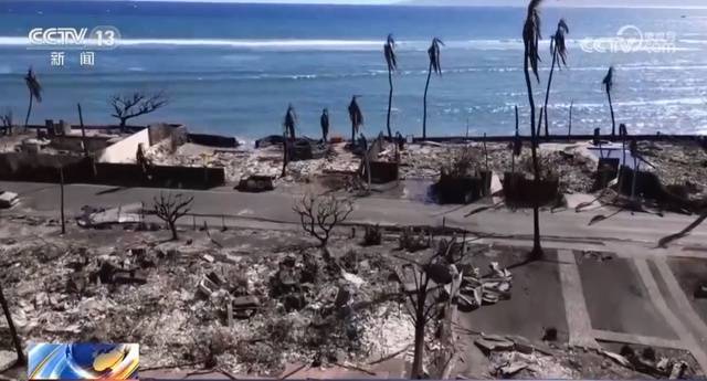 夏威夷大火已致93人死亡，约100人被迫跳太平洋逃生，亲历者：大火在几分钟蔓延，事先没收到任何警报

