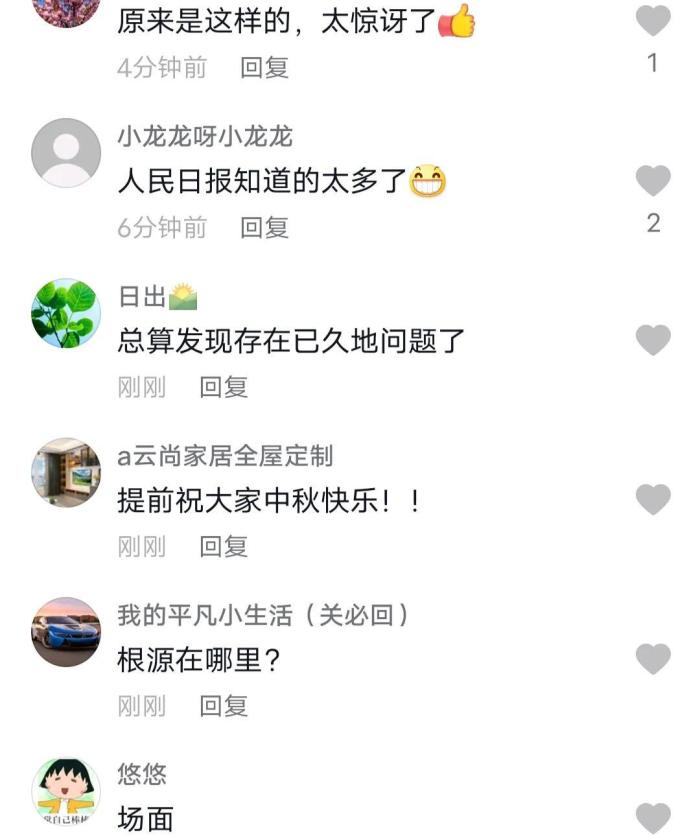 人民日报评20人调研团50多人陪同