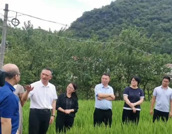 人民日报评20人调研团50多人陪同