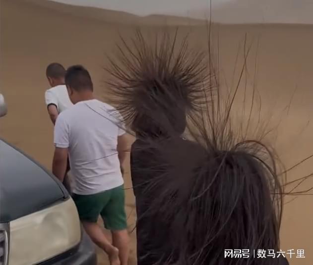 专家解读游客突然头发直立